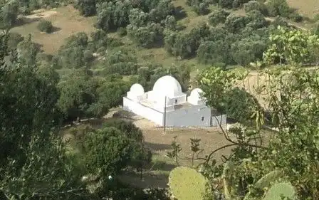 صورة إضافية