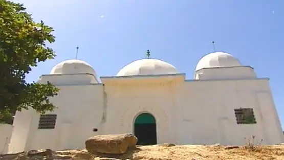 ضريح الولي سيدي علي بن حمد