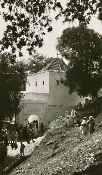 صورة إضافية