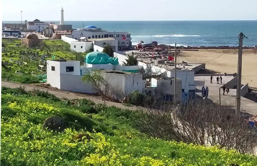 صورة إضافية
