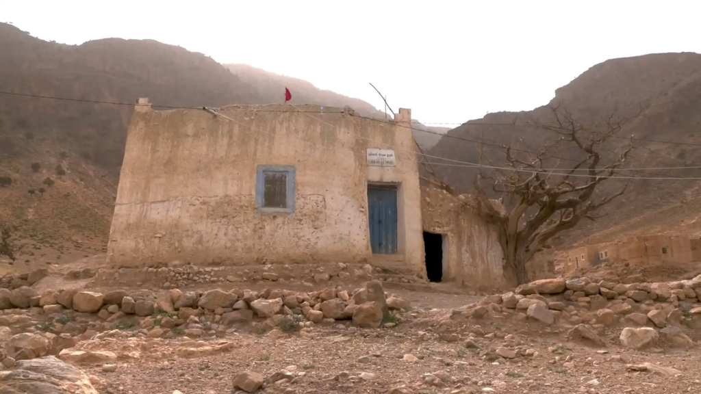 صورة إضافية