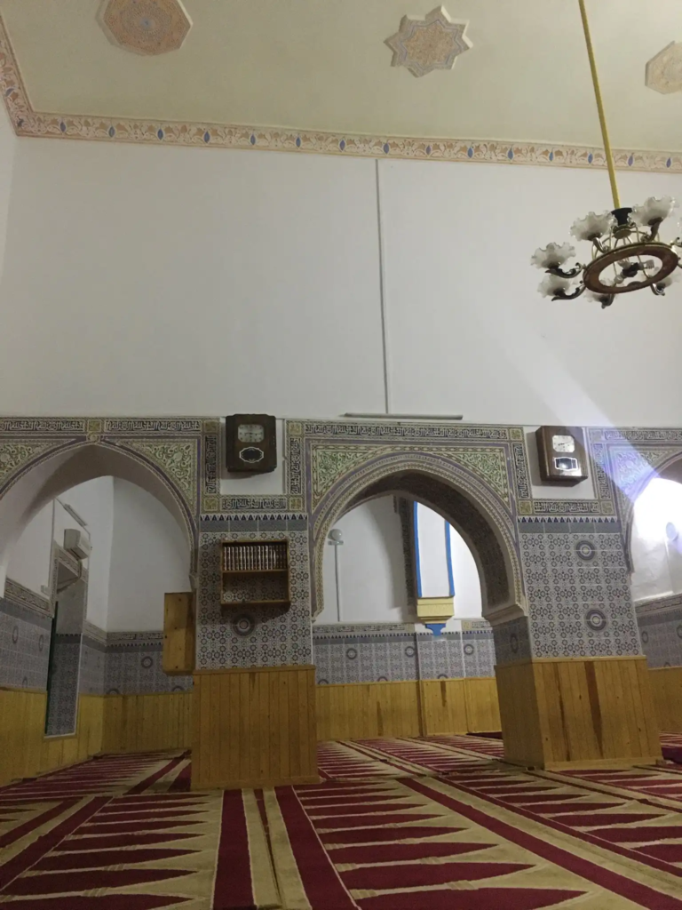 صورة إضافية