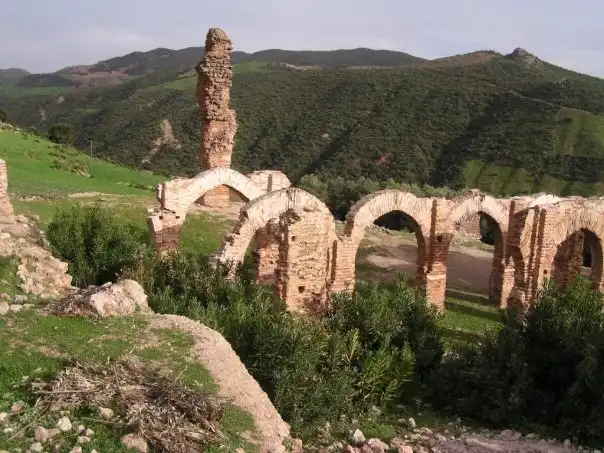 الزاوية الدلائية