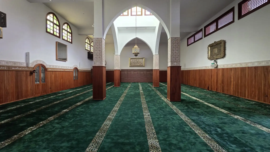 صورة إضافية