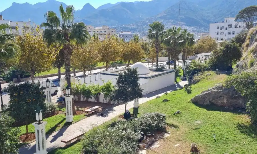 صورة إضافية