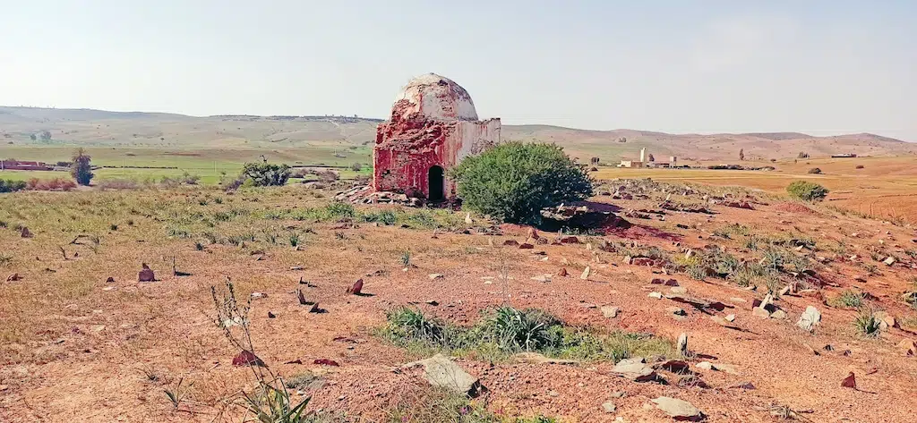 ضريح سيدي الحبشي‎