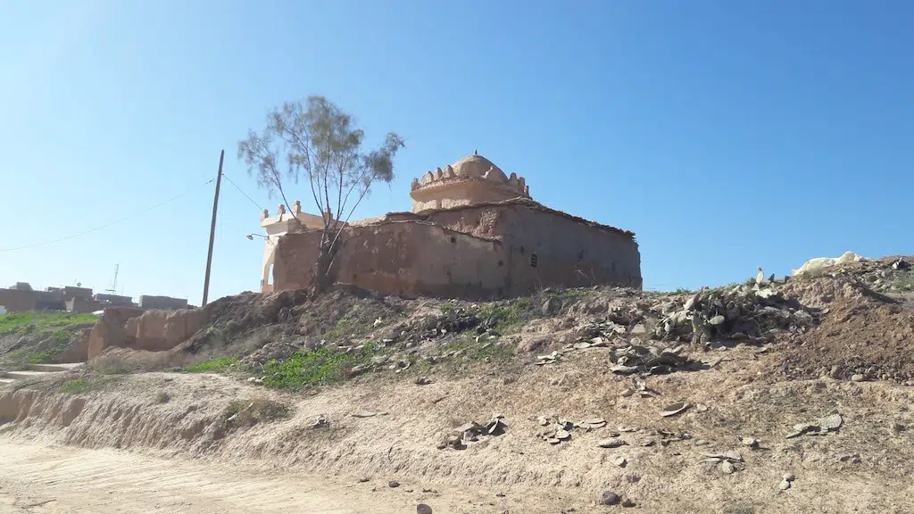 صورة إضافية
