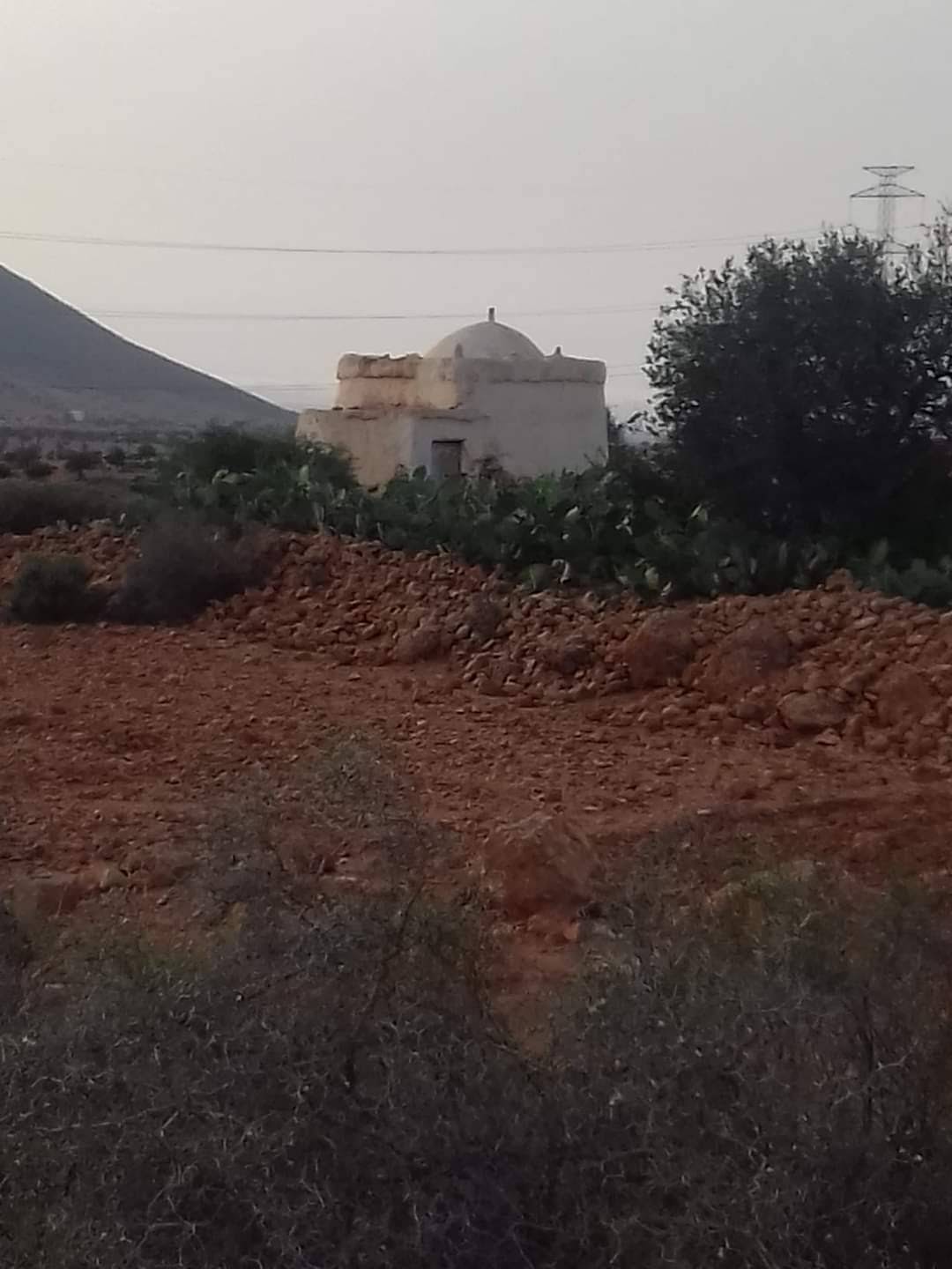 ضريح سيدي أبو إبراهيم الدغوغي‎