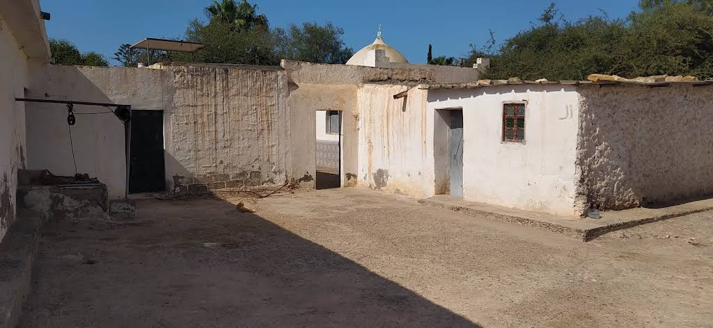 صورة إضافية