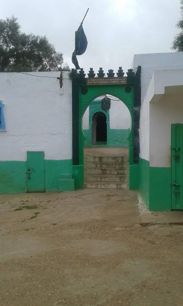صورة إضافية
