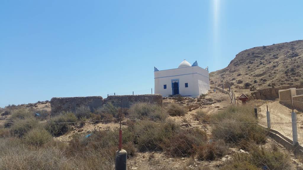 صورة إضافية