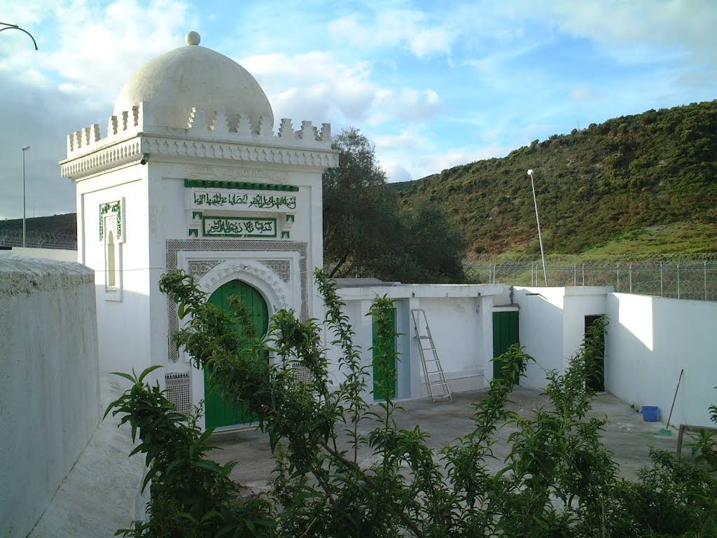 صورة إضافية