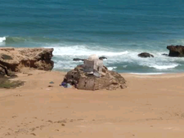 صورة إضافية