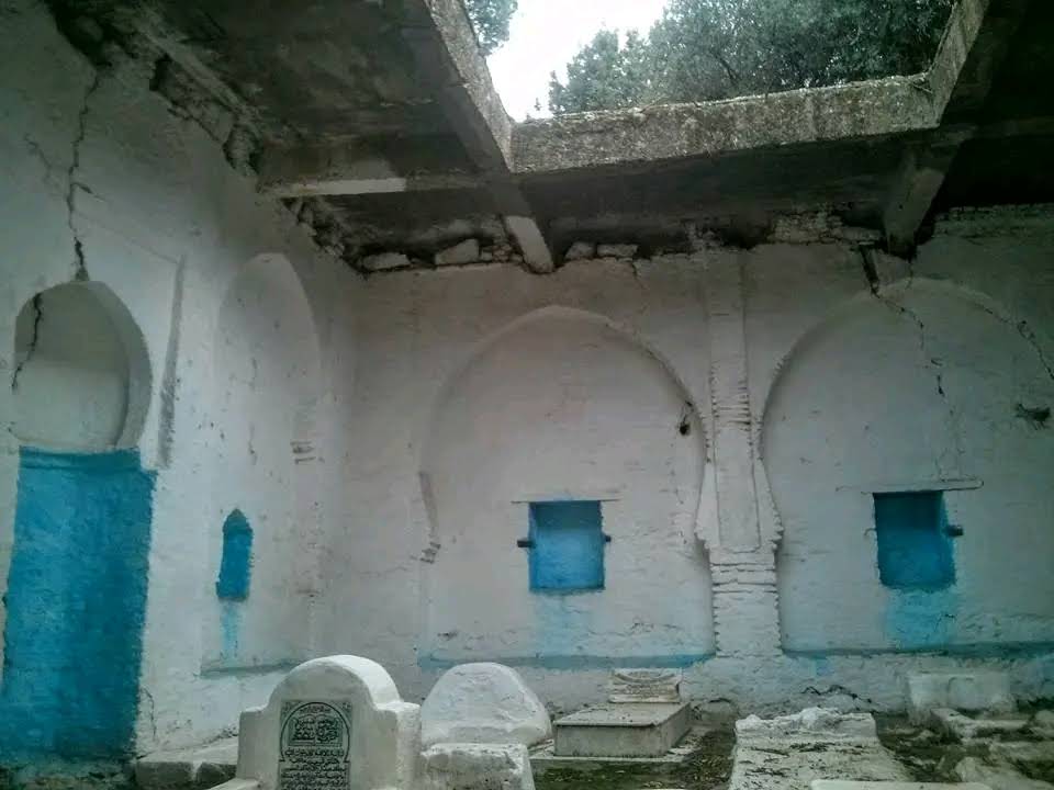 صورة إضافية