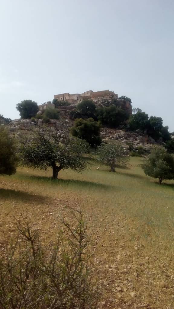 صورة إضافية