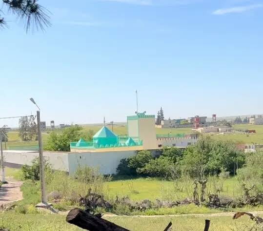 صورة إضافية