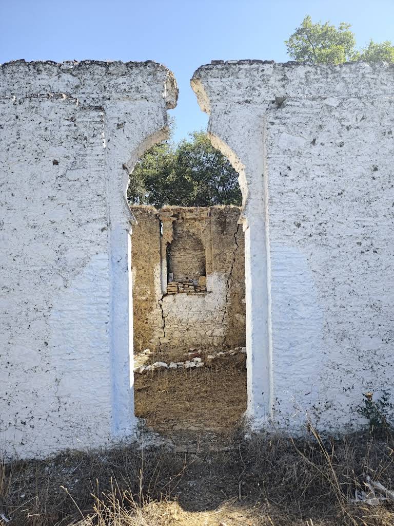 صورة إضافية