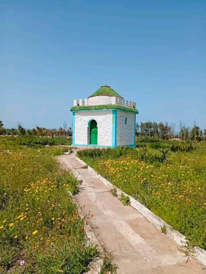 صورة إضافية