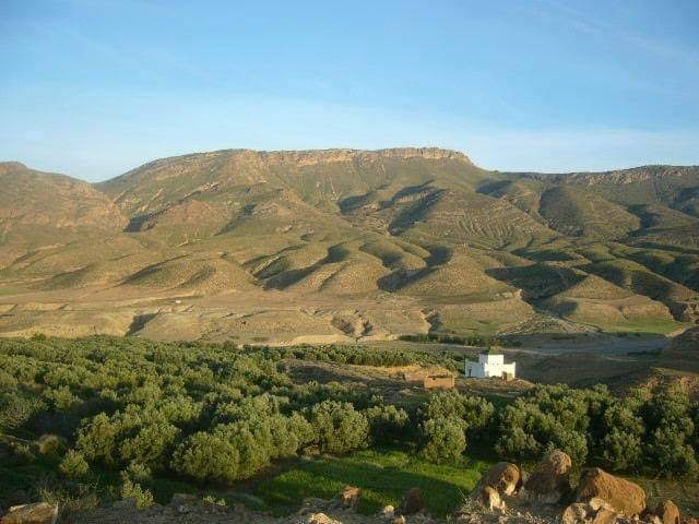 صورة إضافية