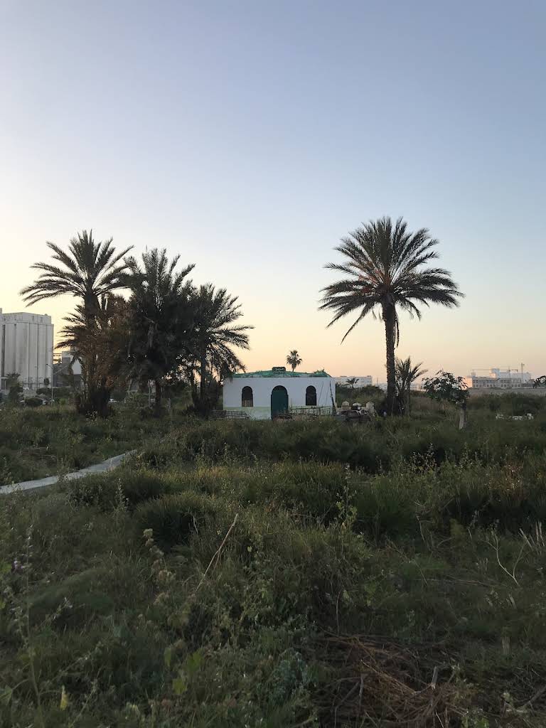 ضريح سيدي البرنوصي‎
