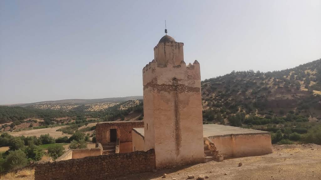 صورة إضافية