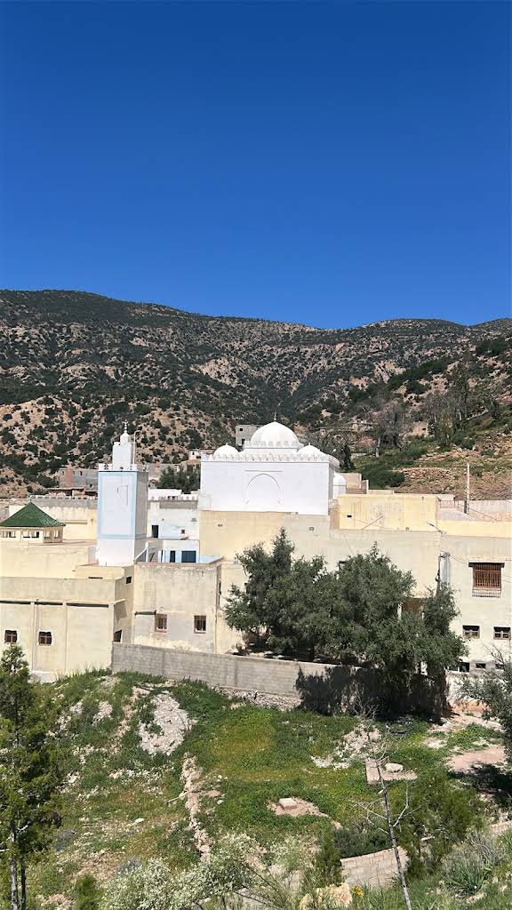 صورة إضافية
