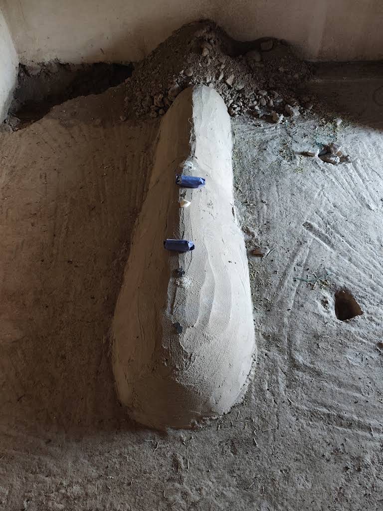 صورة إضافية