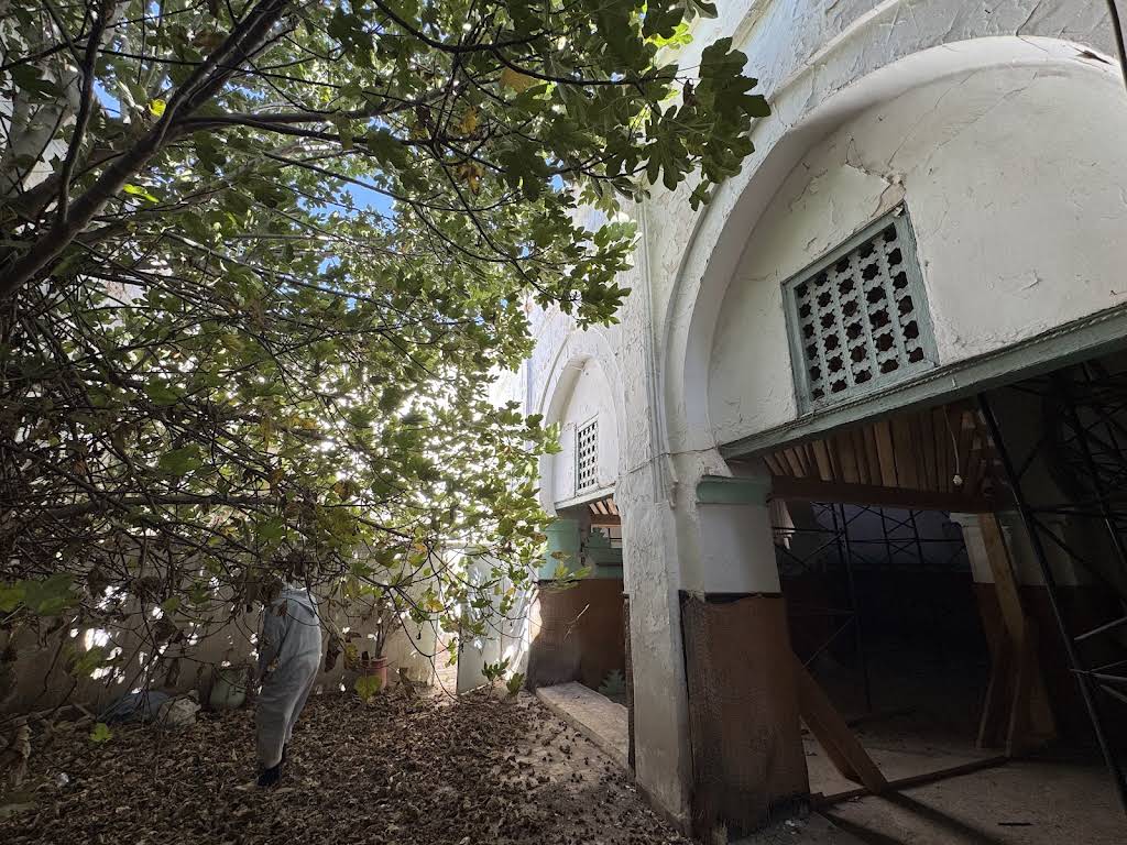 صورة إضافية