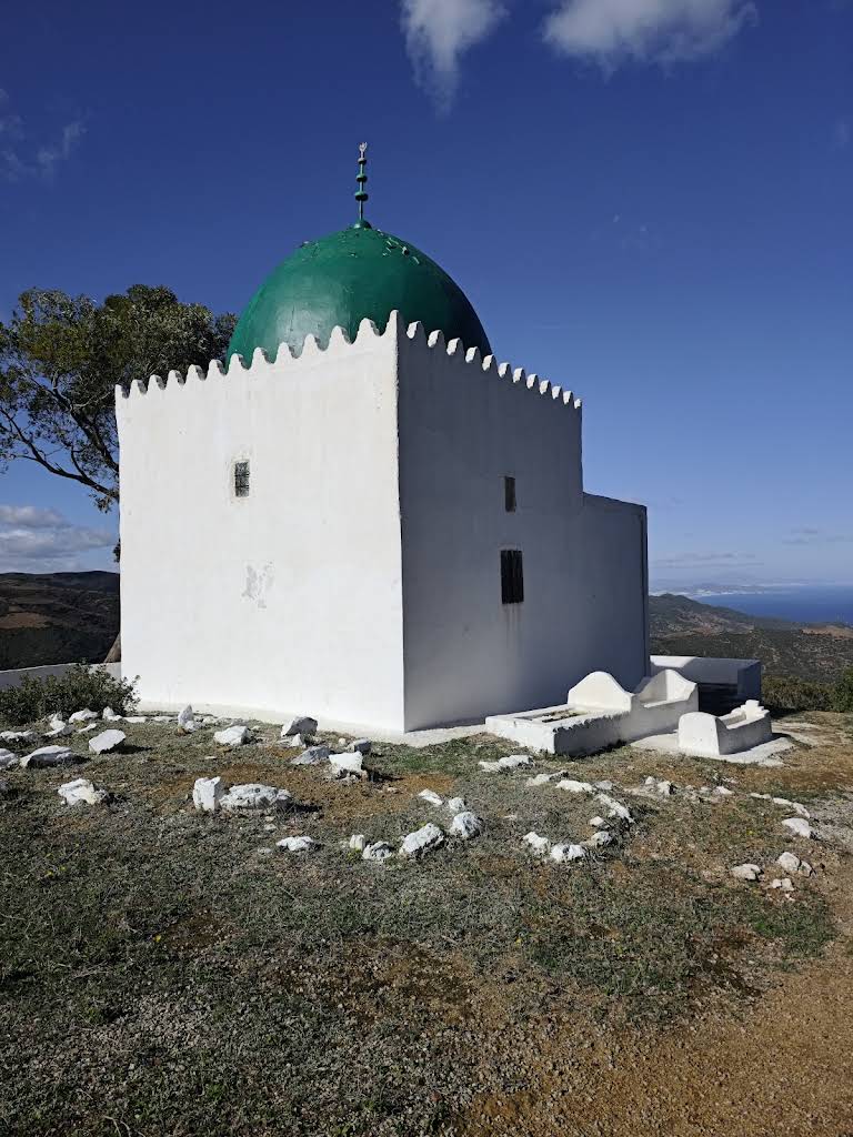 صورة إضافية