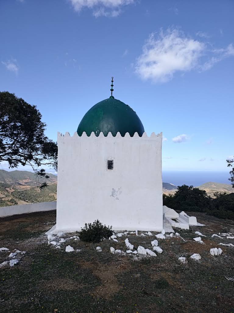 صورة إضافية