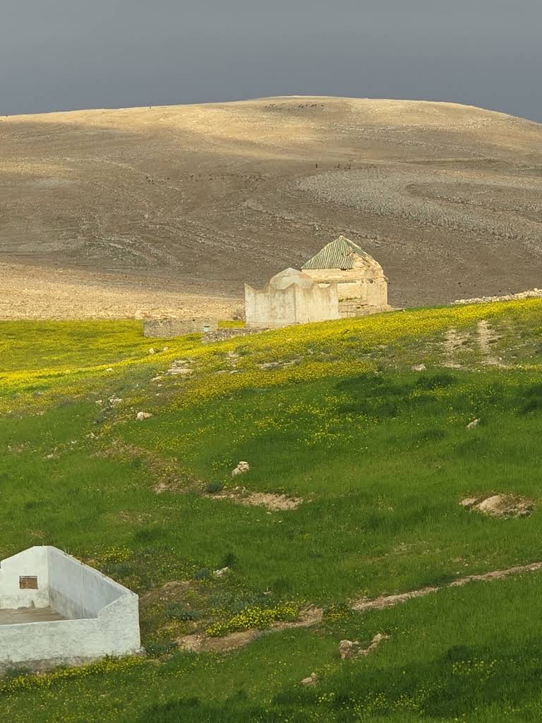 ضريح سيدي عبد الرحمان