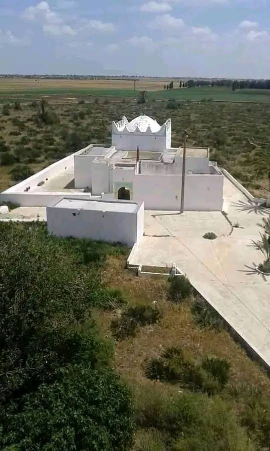 ضريح سيدي عبد الرحمان بن رحو مول البرگي