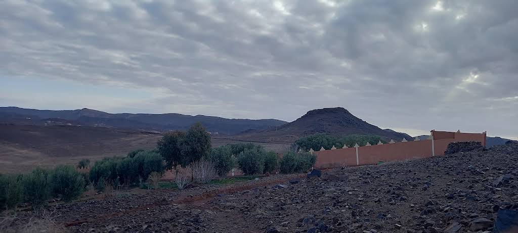 صورة إضافية