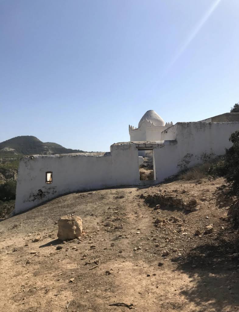 صورة إضافية