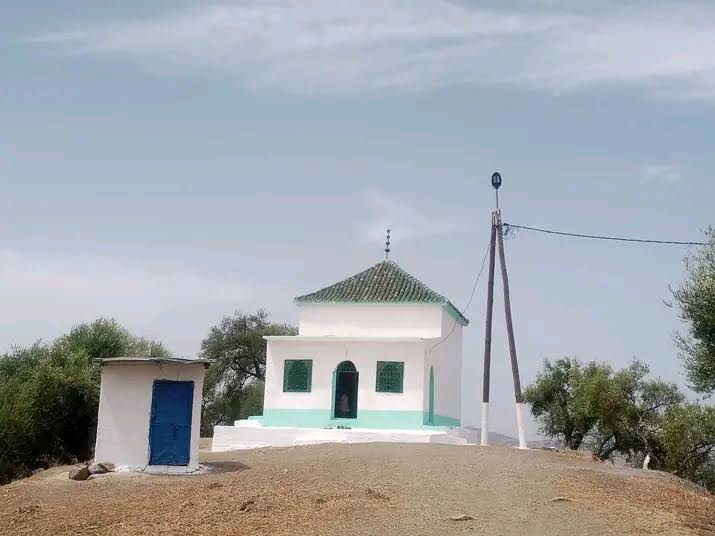 صورة إضافية