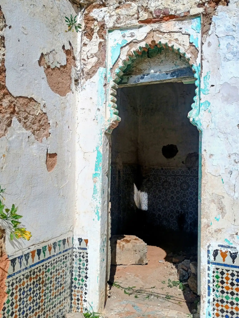 صورة إضافية