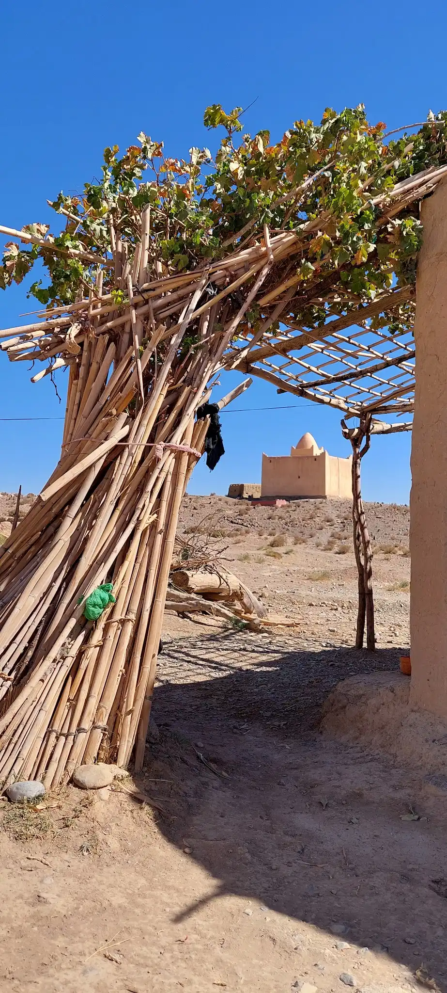صورة إضافية