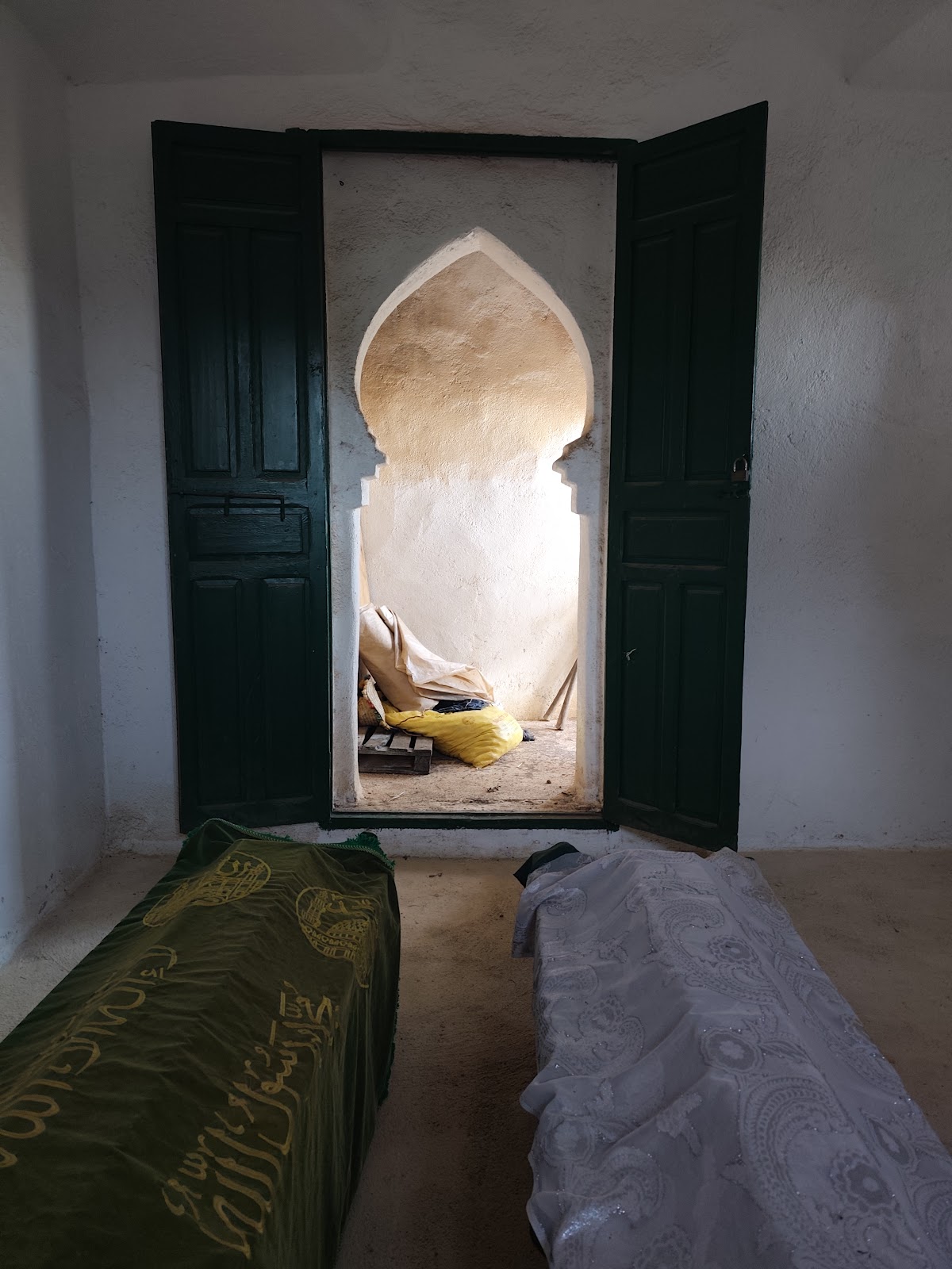 الزاوية المفضلية