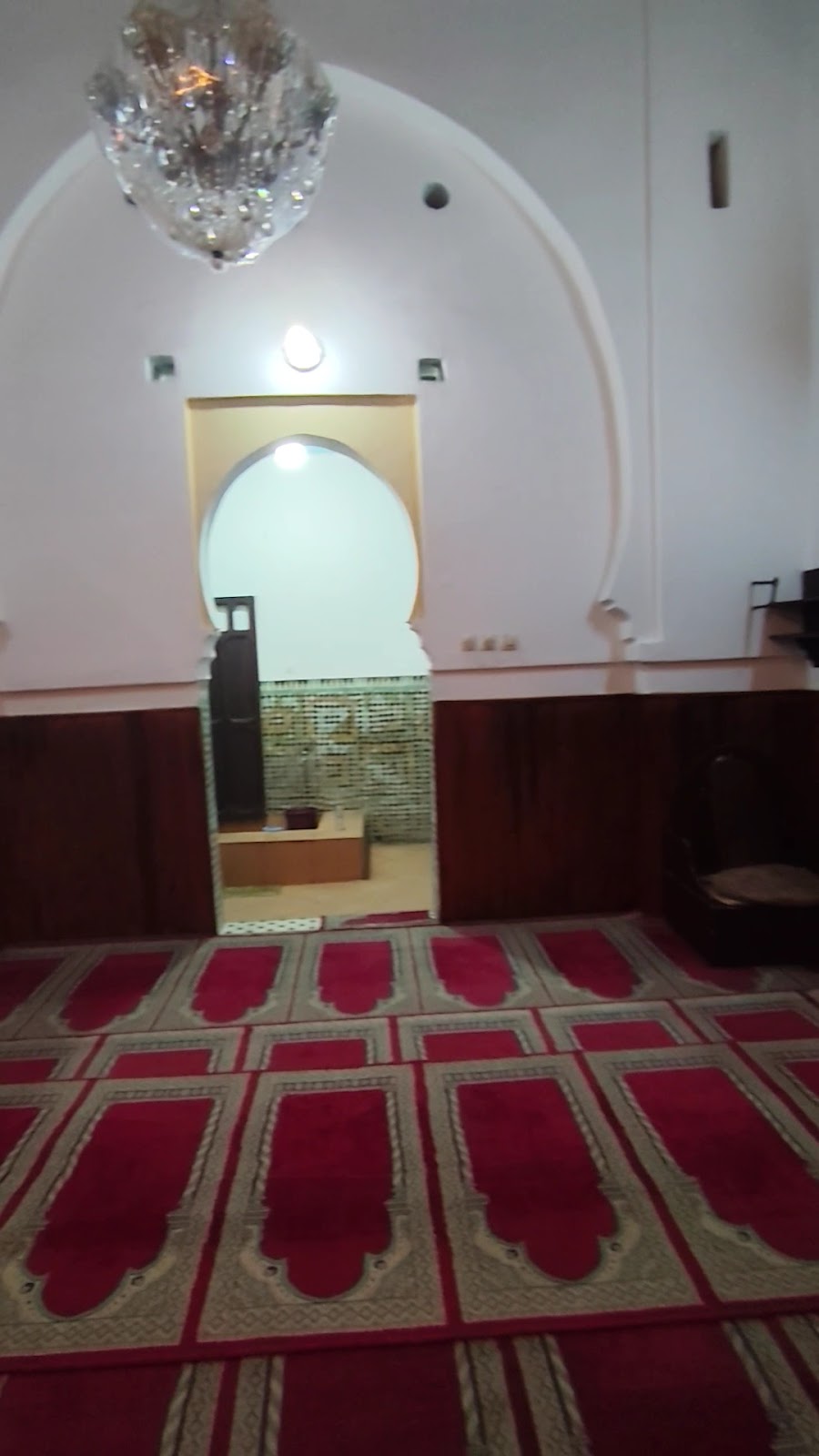 صورة إضافية
