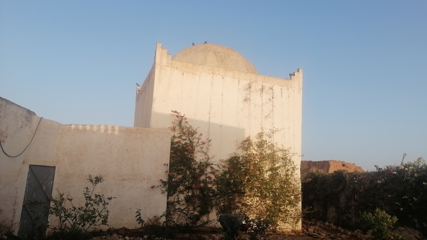 زاوية العنتري