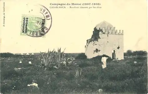 صورة إضافية
