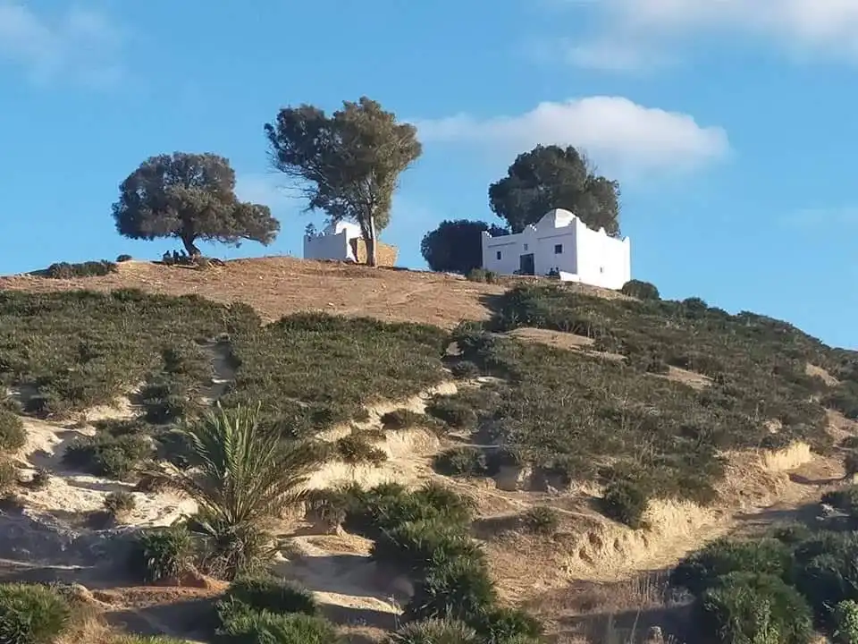 صورة إضافية