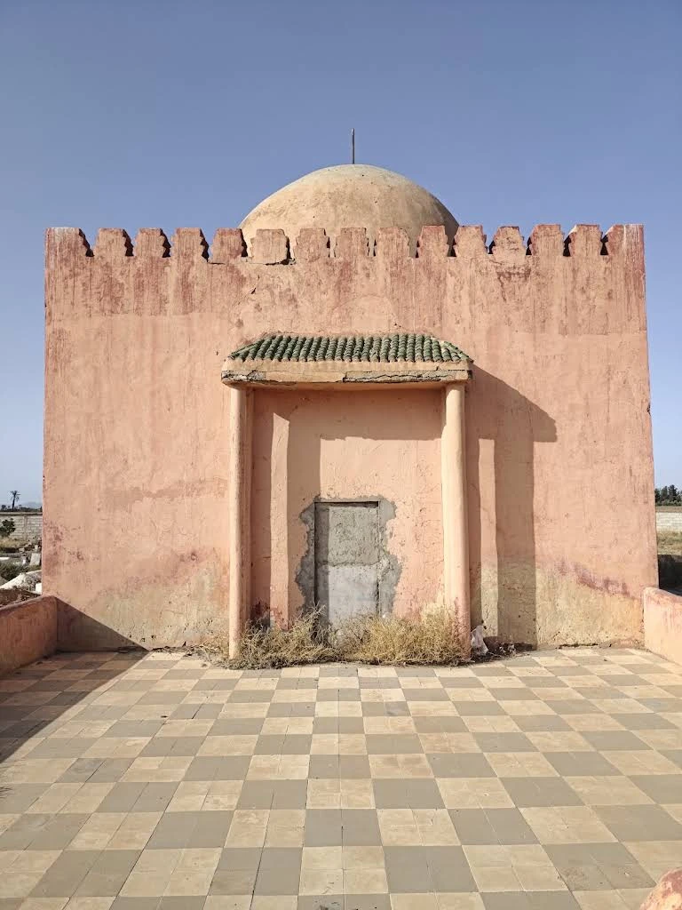 صورة إضافية