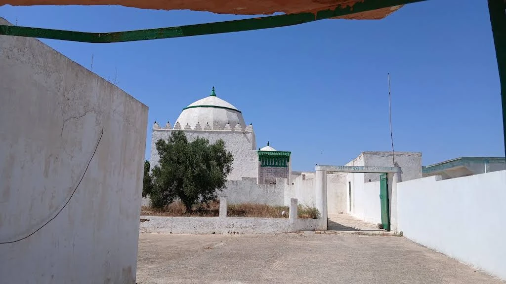 صورة إضافية