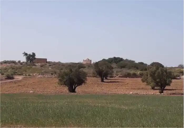 ضريح  سيدي بوزكر