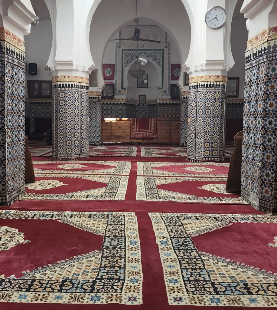 الزاوية التجانية السقاية