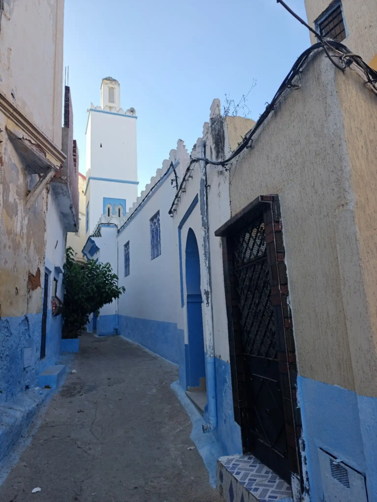 الزاوية المصباحية